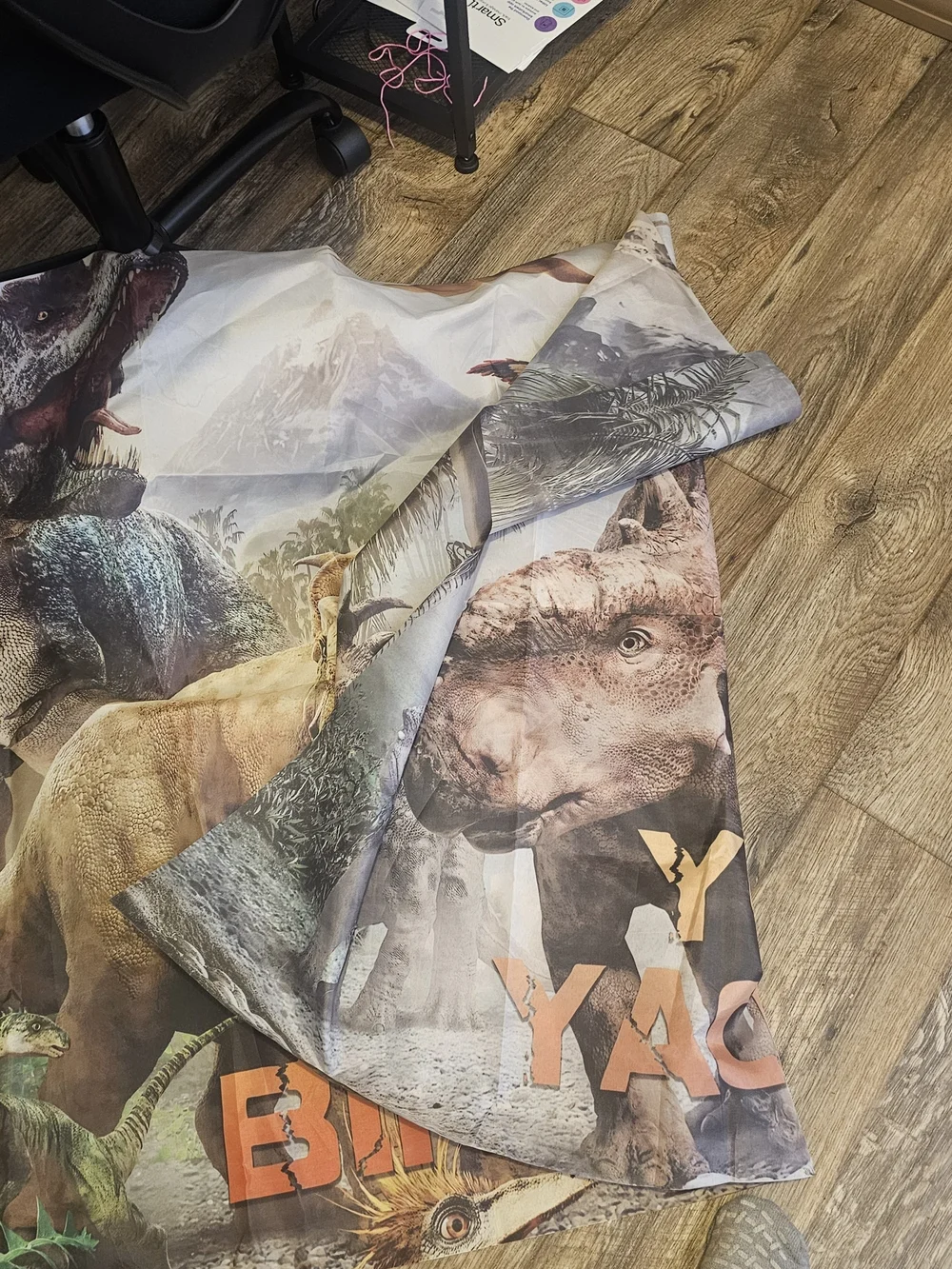 Happy Birthday Dinosaur Party Backdrop - Orange Print